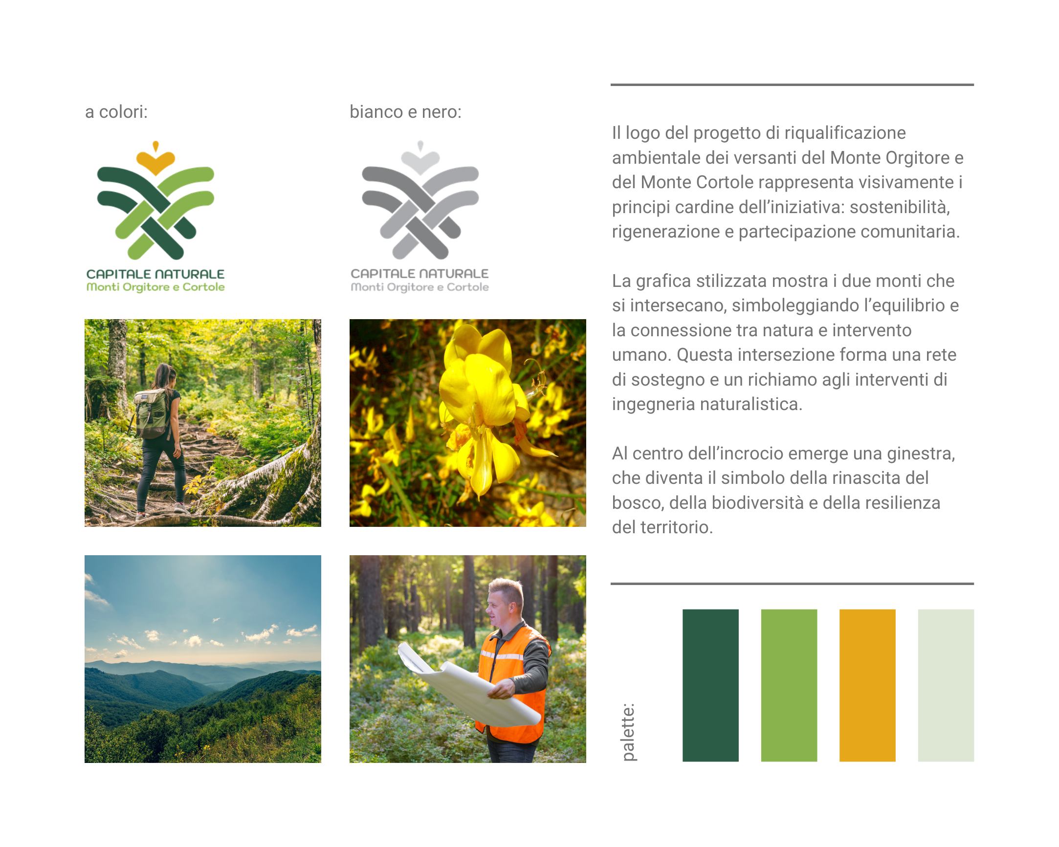 Logo Capitale Naturale